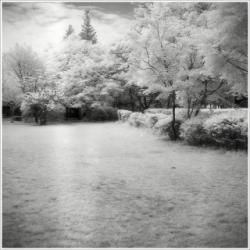 dailyPhoto21